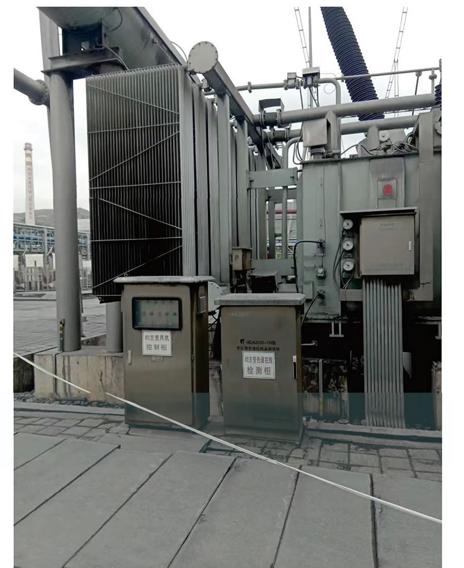 P7.jpg